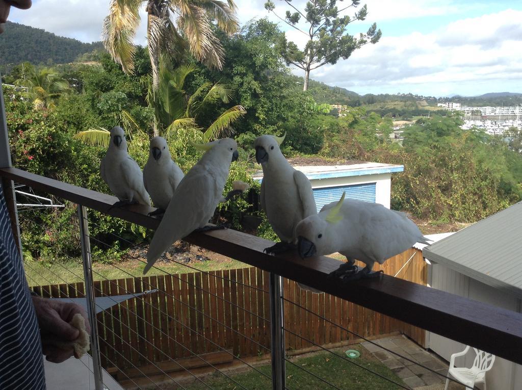 Studio Apartment With Seaview Airlie Beach Luaran gambar